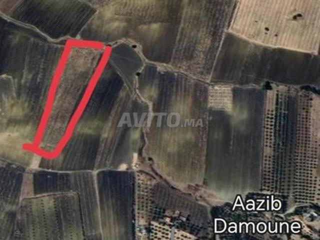 Propriété vente à El Kebir, Tanger-Tétouan