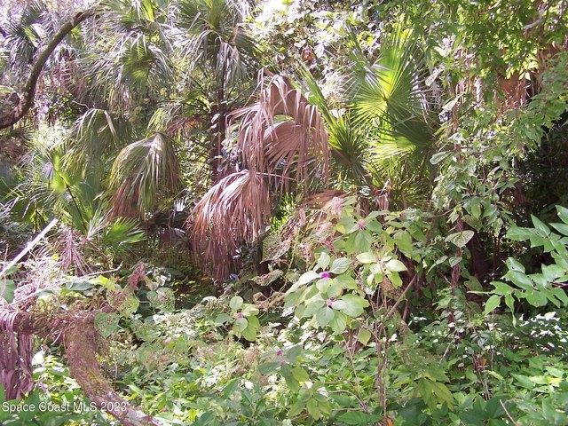 Land for sale in Cocoa, Florida