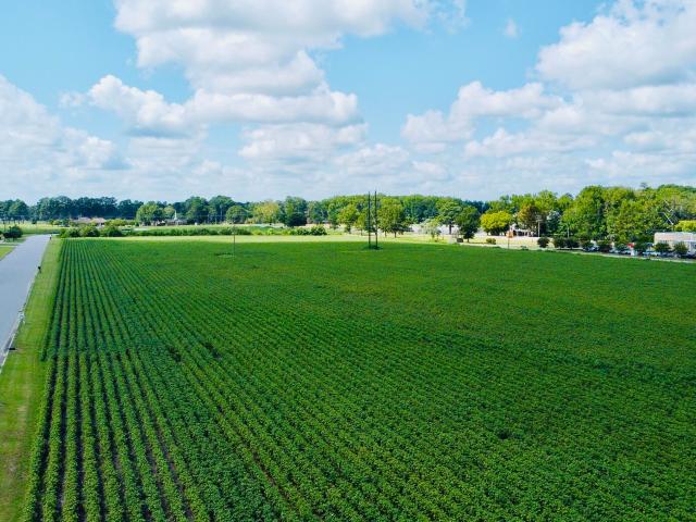 Commercial for sale in Williamston, North Carolina