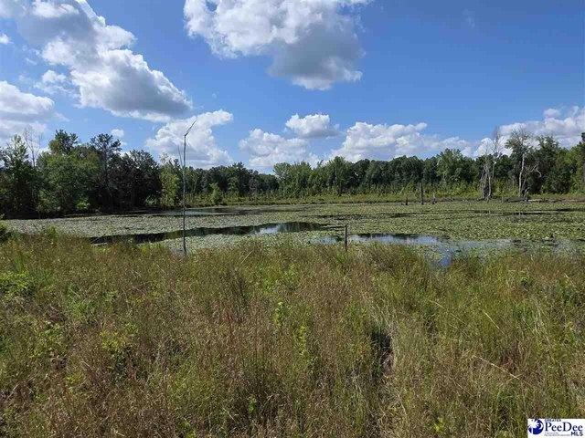 Land for sale in Cheraw, South Carolina