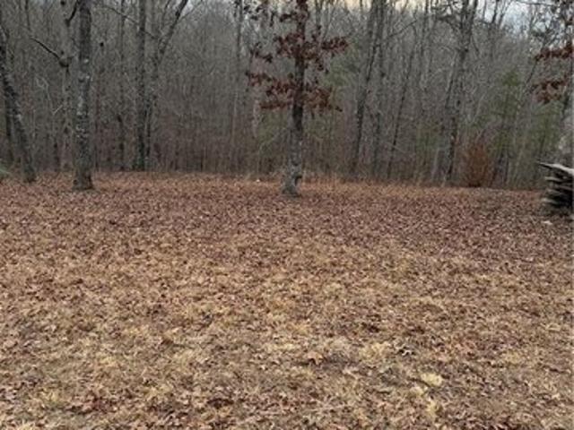 Land for sale in Temple, Georgia