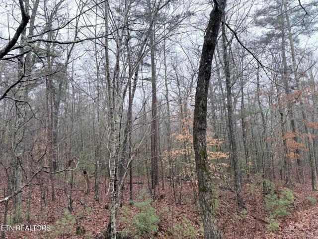 Land for sale in Tennessee
