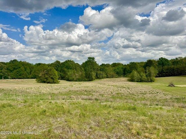 Land for sale in Clinton, Mississippi