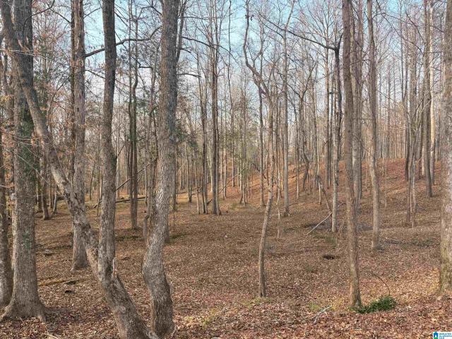 Land for sale in West Blocton, Alabama