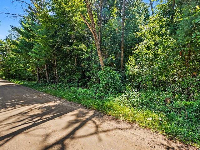 Land for sale in Michigan