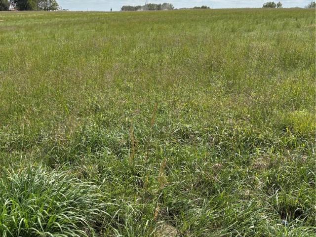 Land for sale in Springdale, Easton