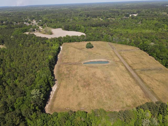 Land for sale in Berkeley County, South Carolina