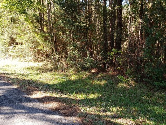 Land for sale in Liberty, Texas