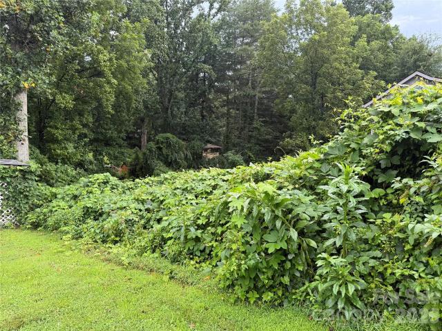 Land for sale in Transylvania, North Carolina