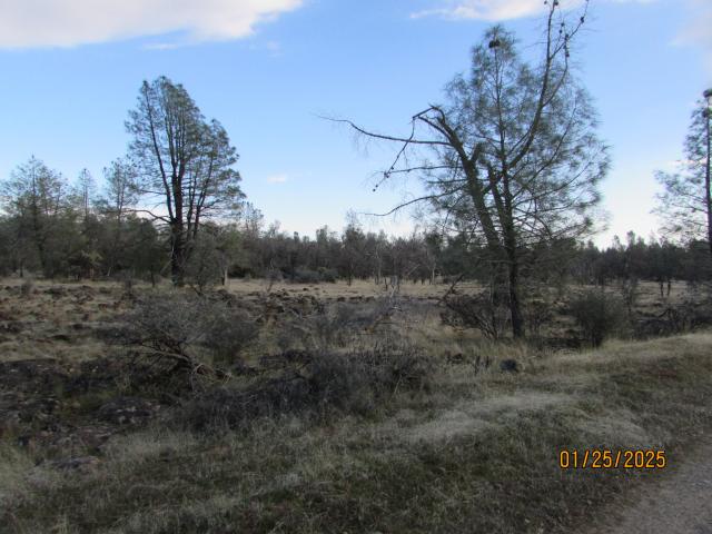 Land for sale in Shasta, California