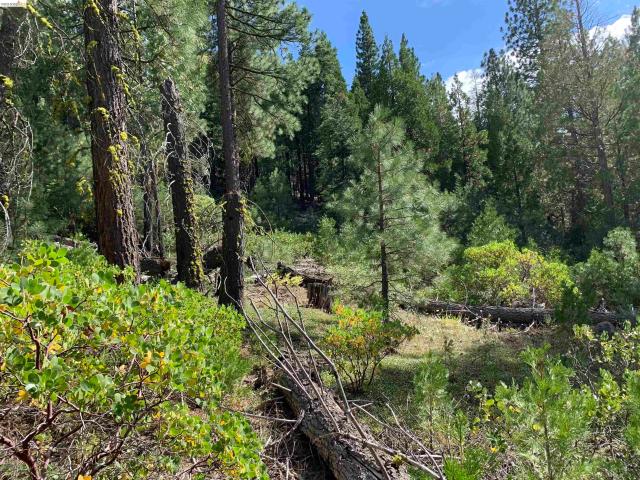 Land for sale in Alturas, Modoc County