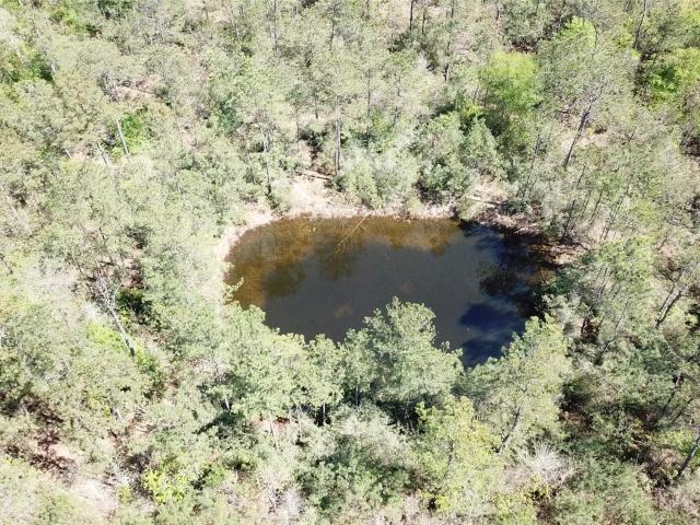 Land for sale in Kountze, Texas