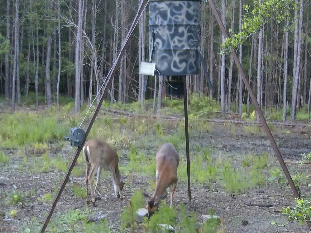Land for sale in Kountze, Texas