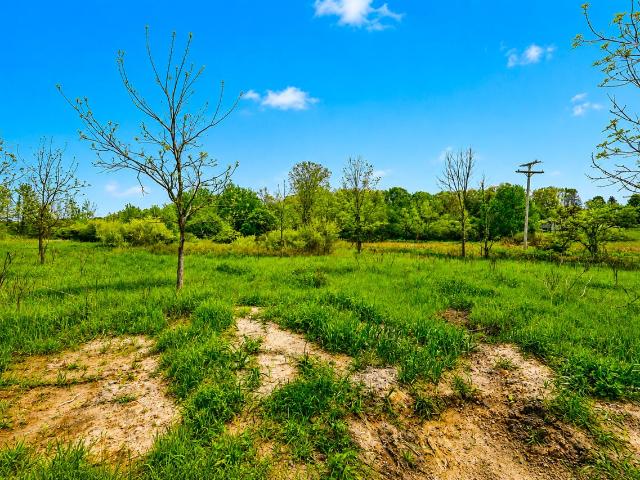 Land for sale in Gregory, Michigan