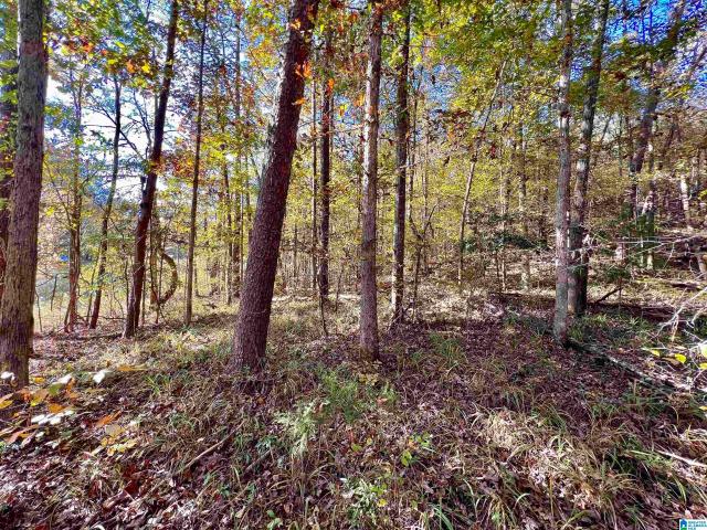 Land for sale in Alberta, Alabama