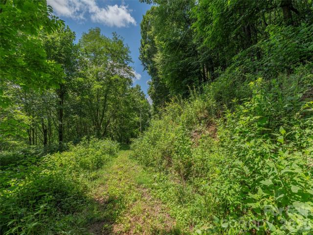 Land for sale in Haywood, North Carolina