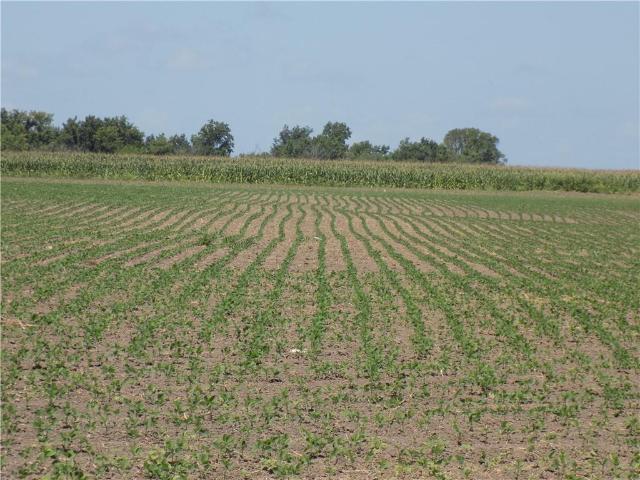 Farm for sale in Kansas