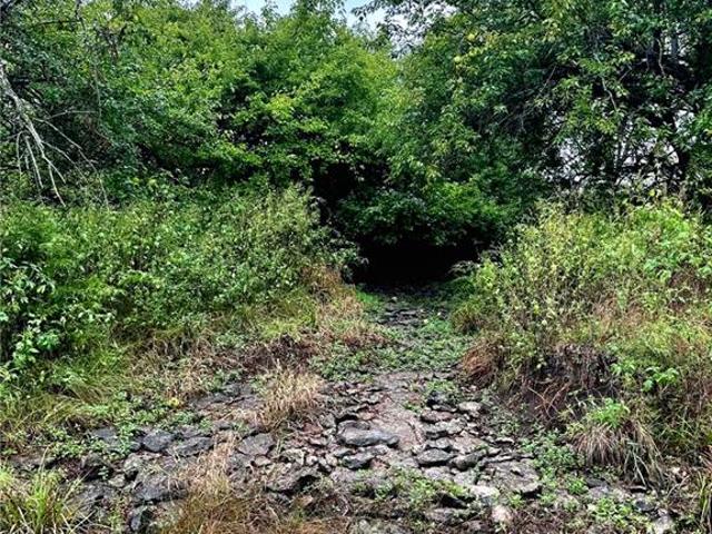 Farm for sale in Edgerton, Miami County