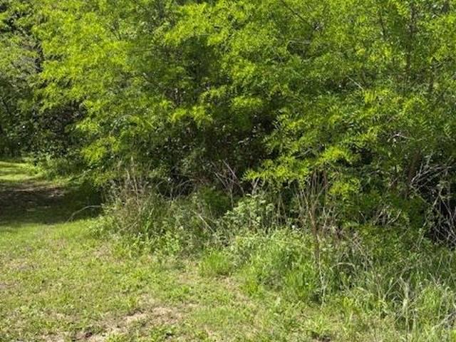 Land for sale in Kansas