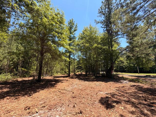 Land for sale in Smoaks, Colleton County