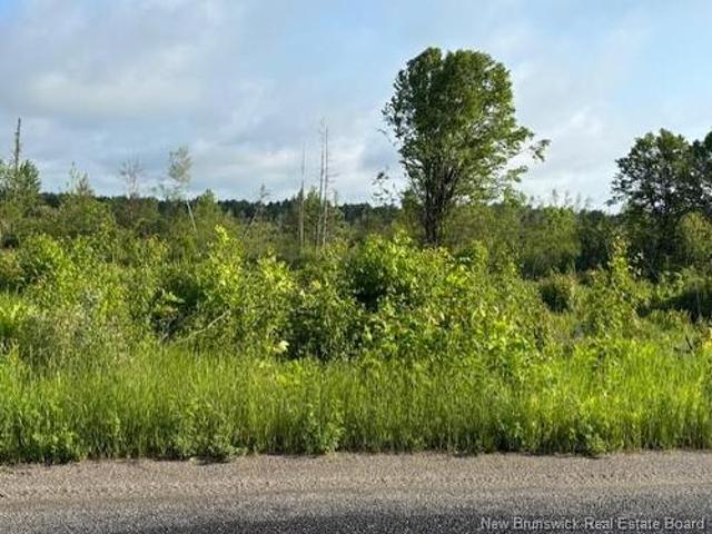 Land for sale in Charlotte, New Brunswick