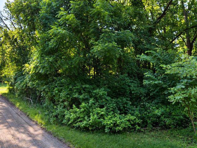 Land for sale in Niles, Berrien County
