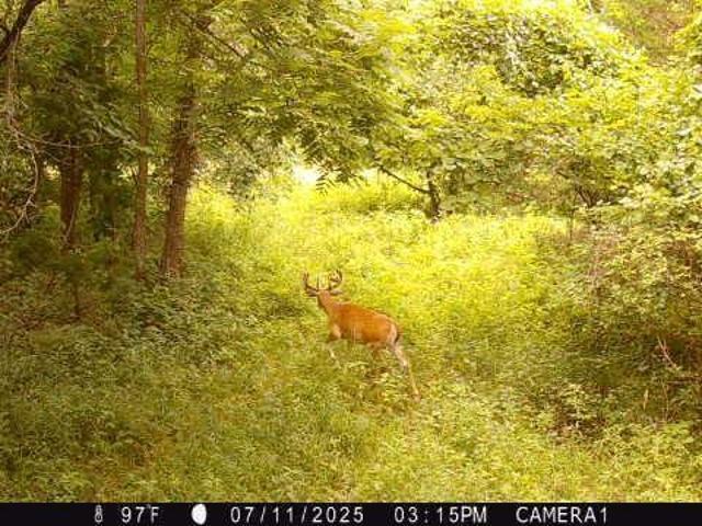 Land for sale in Kansas