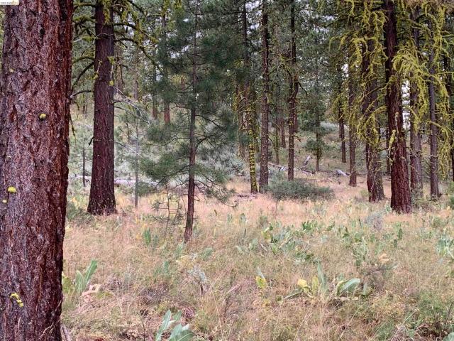 Land for sale in Susanville, California
