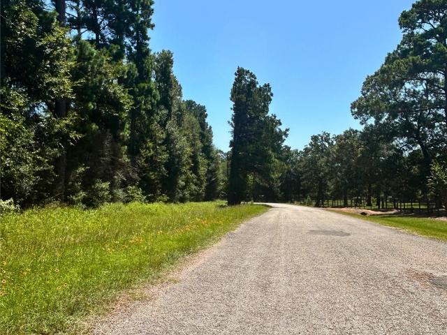 Land for sale in Waller