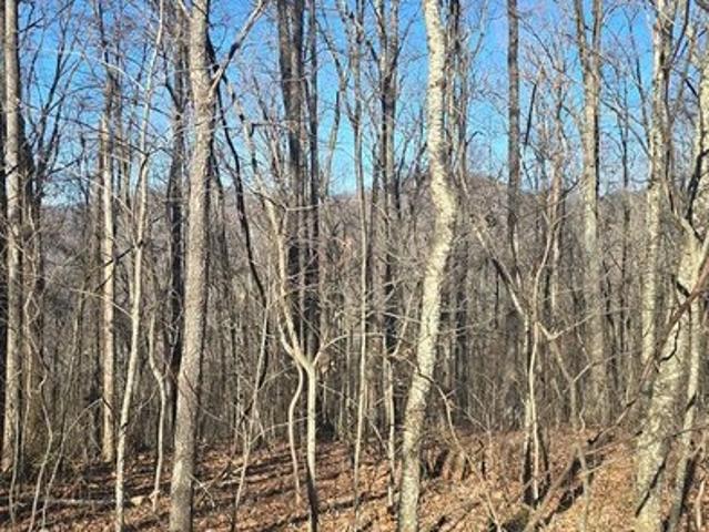 Land for sale in Pickens, Georgia