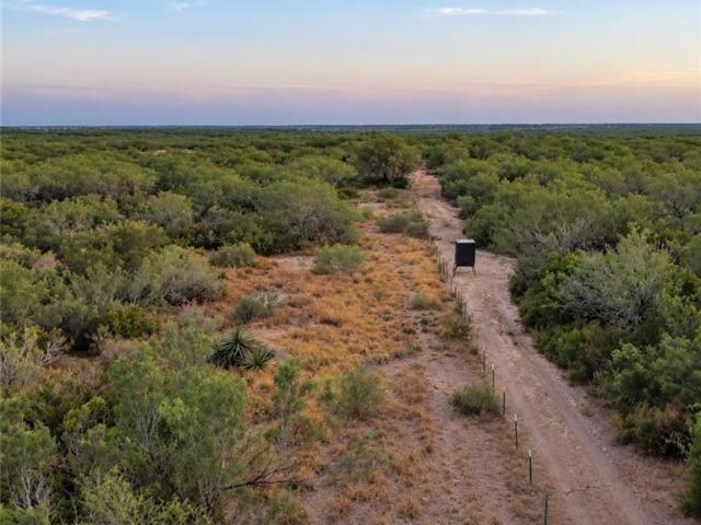 Land for sale in Rio Grande City, Starr County