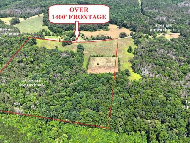 Land for sale in Bowdon, Georgia