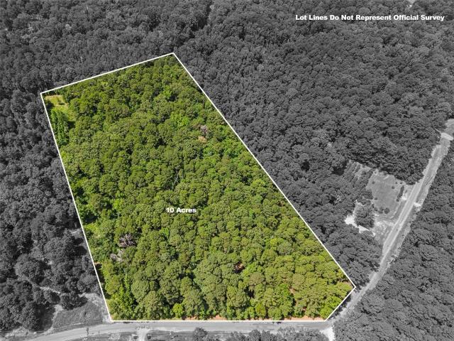 Land for sale in Avinger, Cass County