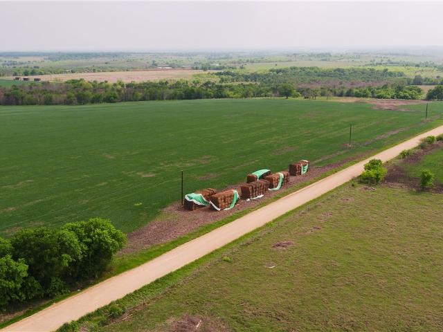 Land for sale in Buckholts, Milam County