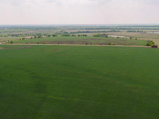 Land for sale in Buckholts, Milam County