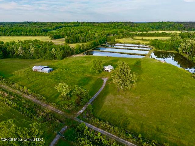 Land for sale in Tiplersville, Mississippi