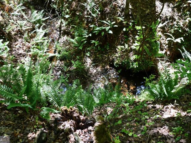 Land for sale in Haralson, Georgia
