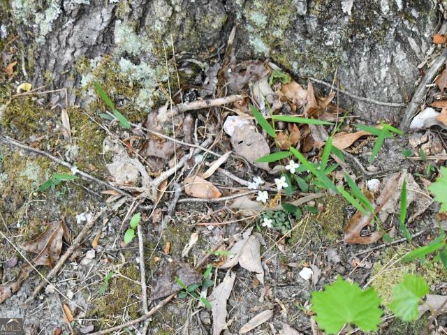 Land for sale in Haralson, Georgia