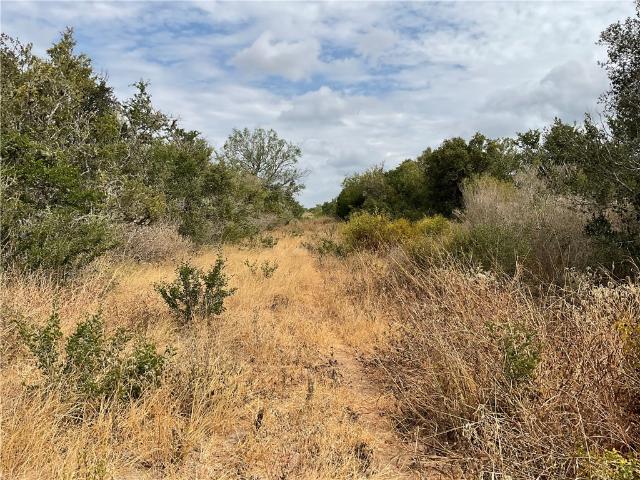 Land for sale in San Diego, Texas