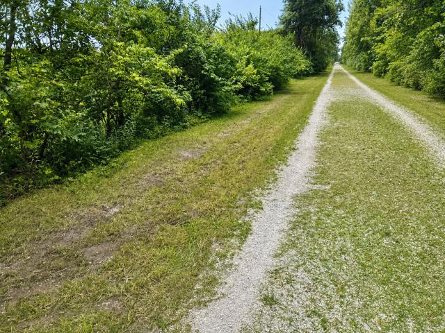 Land for sale in Illinois