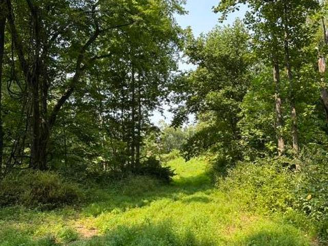 Land for sale in Union, Boone County