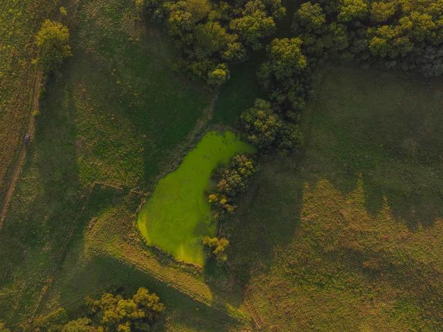 Land for sale in Blakesburg, Wapello County