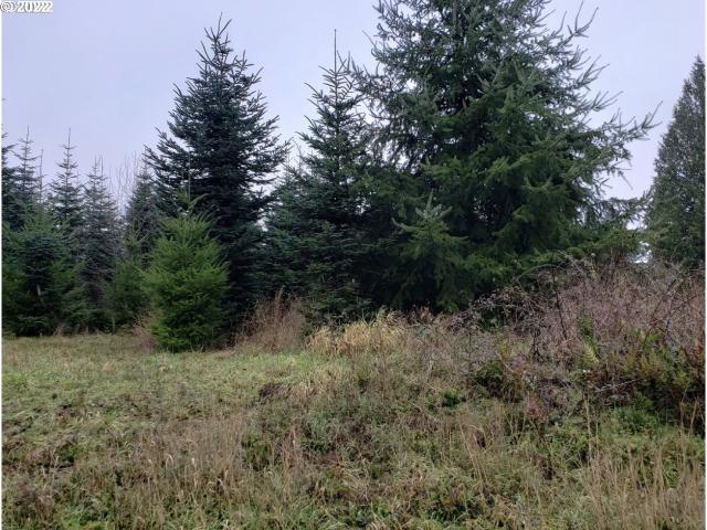 Land for sale in Rainier, Columbia County