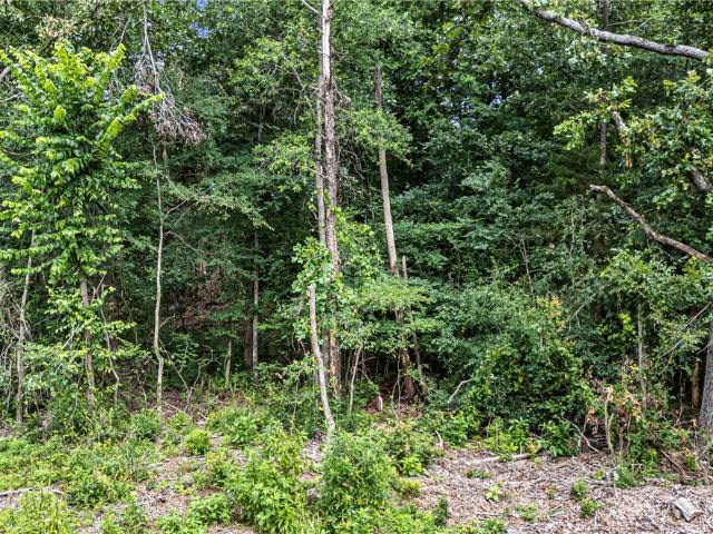 Land for sale in Ark