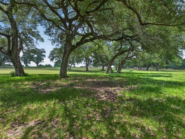 Land for sale in Brenham, Washington County