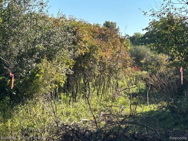 Land for sale in Michigan