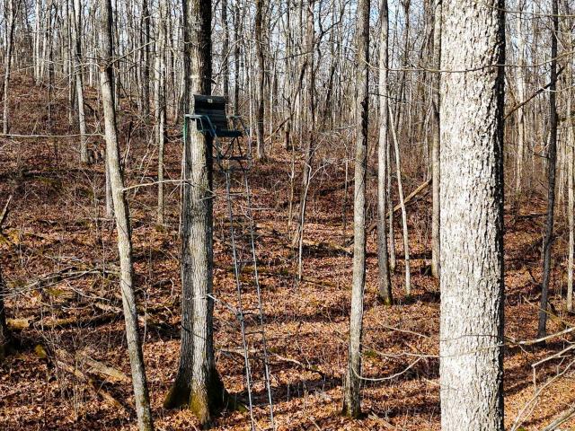 Land for sale in Kentucky