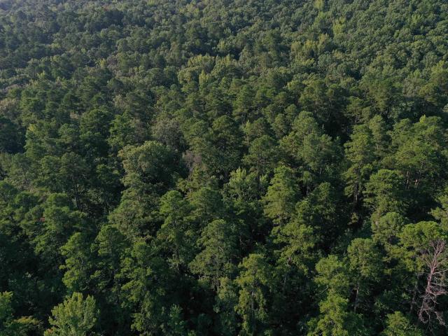Land for sale in Ark