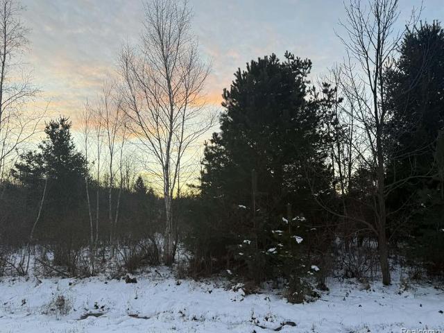Land for sale in Michigan