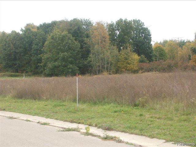 Land for sale in Conway, Michigan